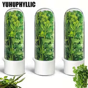 Refrigerated Herb Fresh-keeping Box