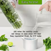 Refrigerated Herb Fresh-keeping Box