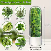 Refrigerated Herb Fresh-keeping Box