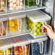 Refrigerator Storage Boxes