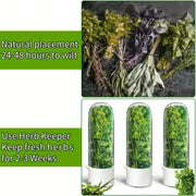Refrigerated Herb Fresh-keeping Box