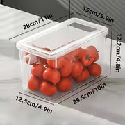 Refrigerator Storage Boxes